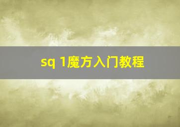 sq 1魔方入门教程